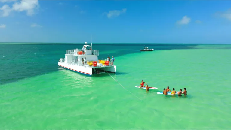 Sandbar, SUP, & Eco Tour