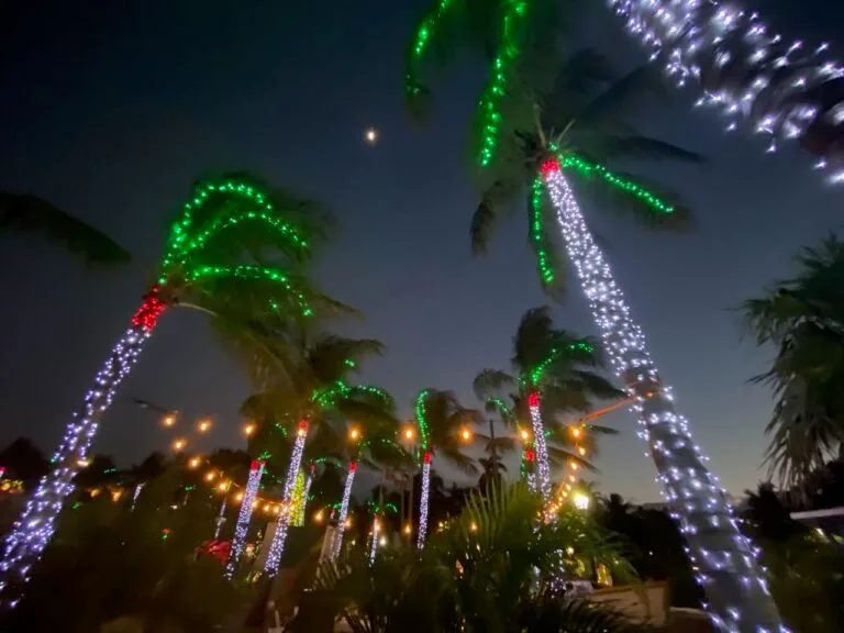 Best Things to do during Christmas in Key West